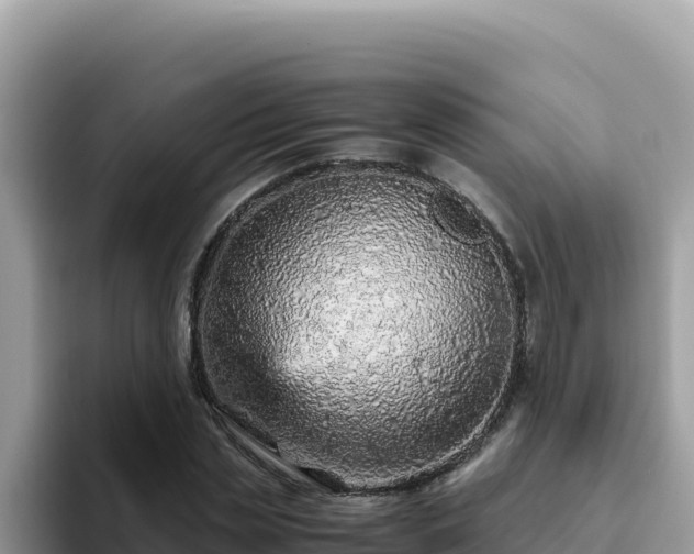 X0000093430829200710191024