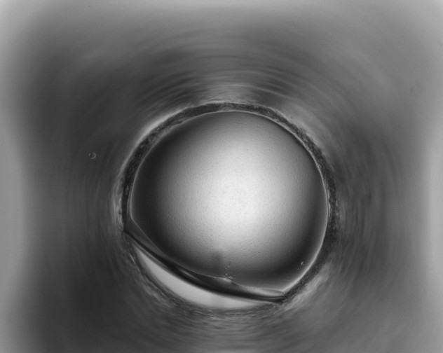 X0000093430830200710191025