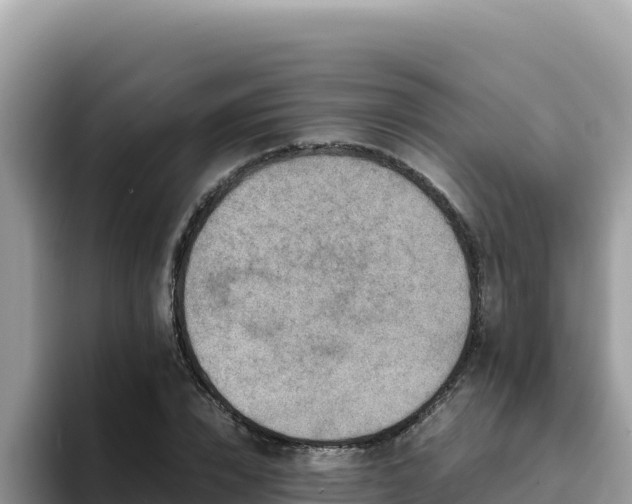 X0000093430832200710191025