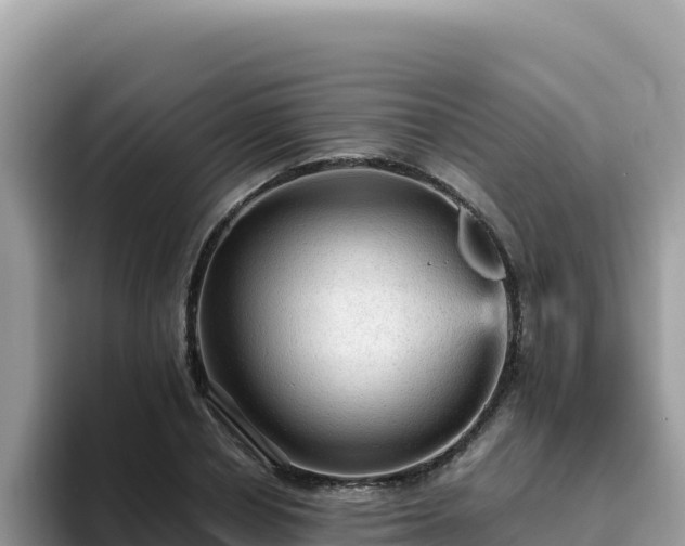 X0000093430834200710191025
