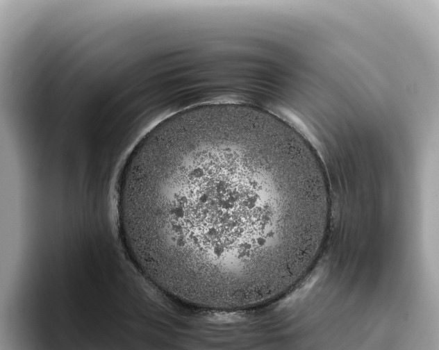 X0000093430835200710191025