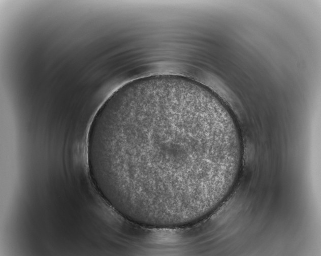 X0000093430836200710191025