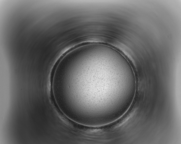 X0000093430837200710191025