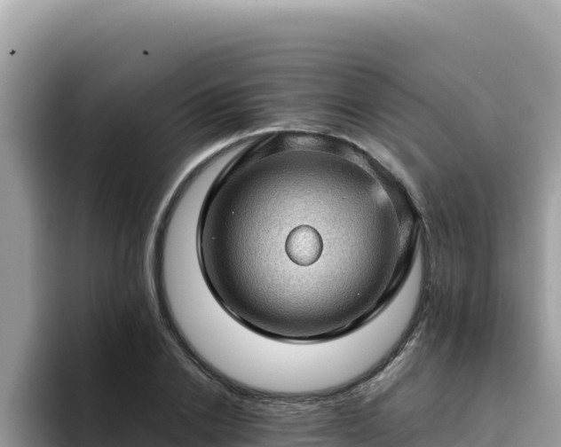 X0000093430838200710191025