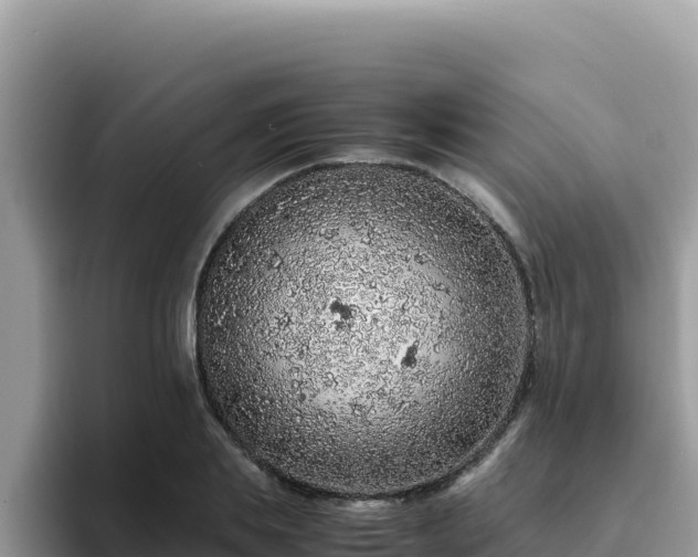 X0000093430839200710191025