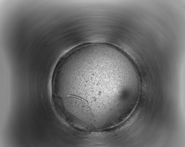X0000093430840200710191025
