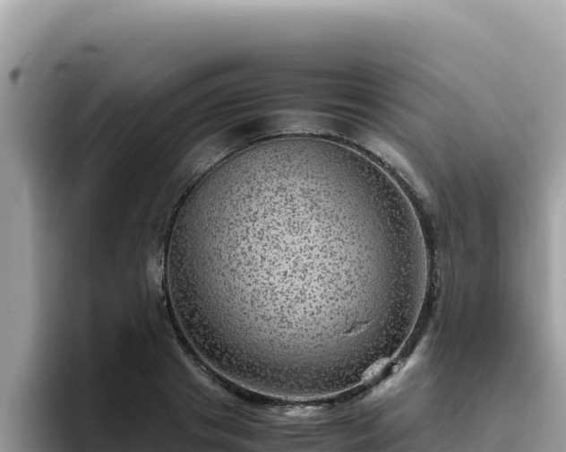 X0000093430841200710191025