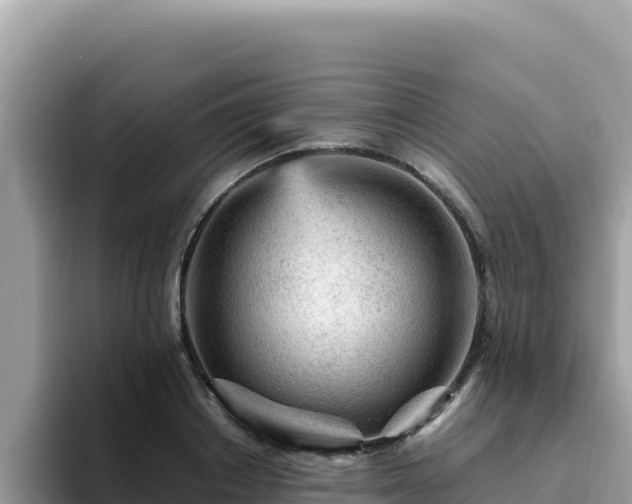 X0000093430842200710191025