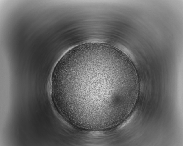 X0000093430844200710191025
