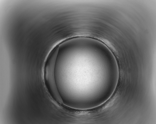 X0000093430846200710191025