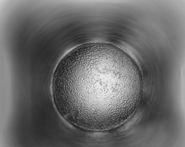 X0000093430847200710191025