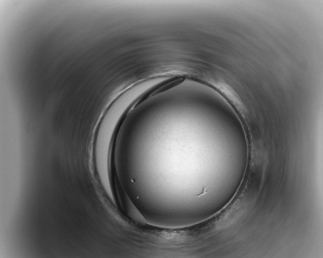 X0000093430850200710191025