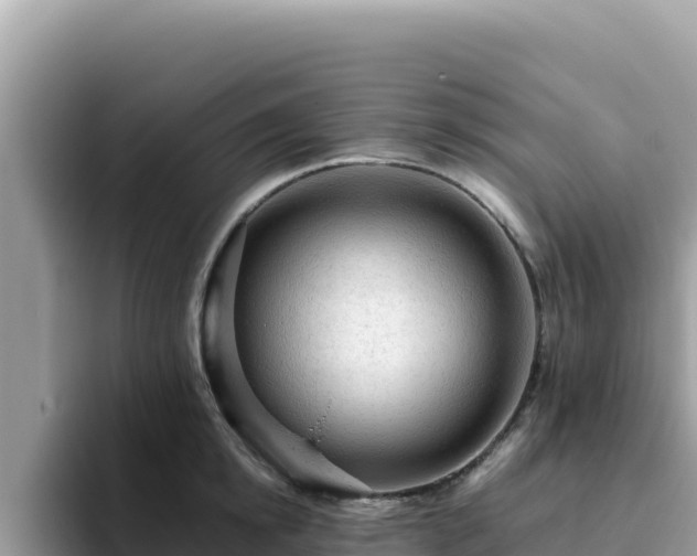 X0000093430854200710191025