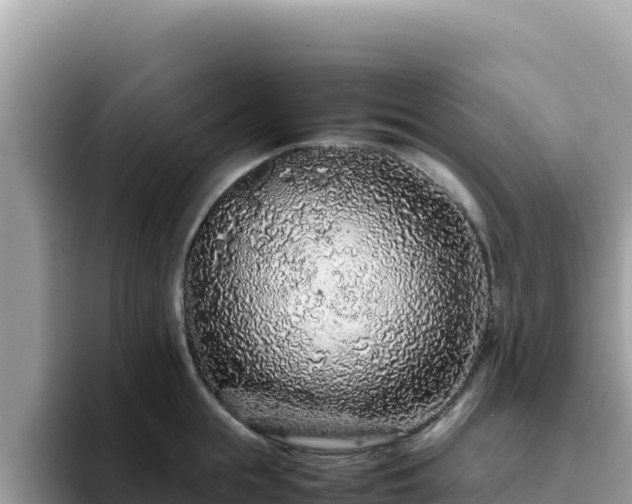 X0000093430855200710191025