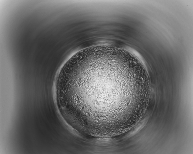 X0000093430859200710191025