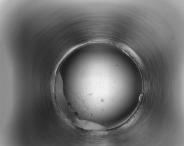 X0000093430860200710191025