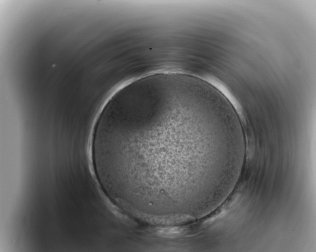 X0000093430861200710191025