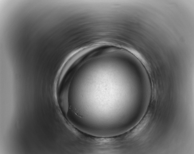 X0000093430862200710191025