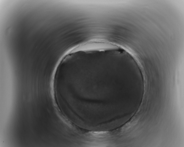 X0000093430864200710191025