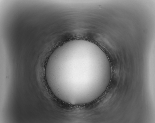 X0000093430865200710191024