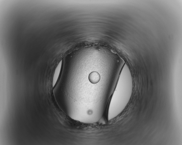 X0000093430868200710191024