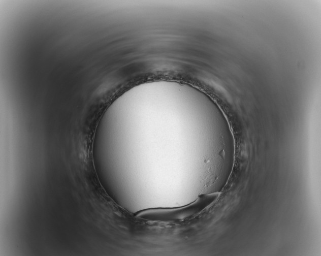 X0000093430869200710191024