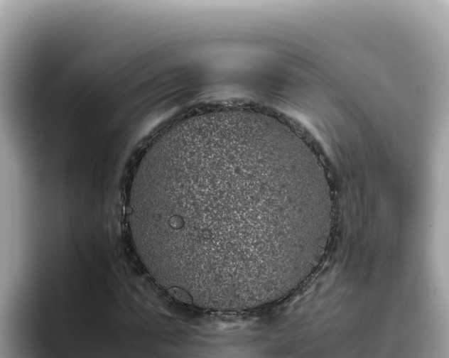 X0000093430871200710191024