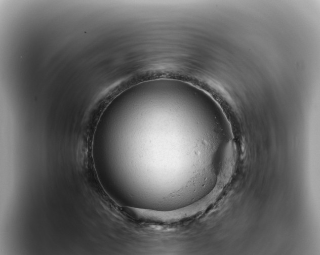 X0000093430872200710191024