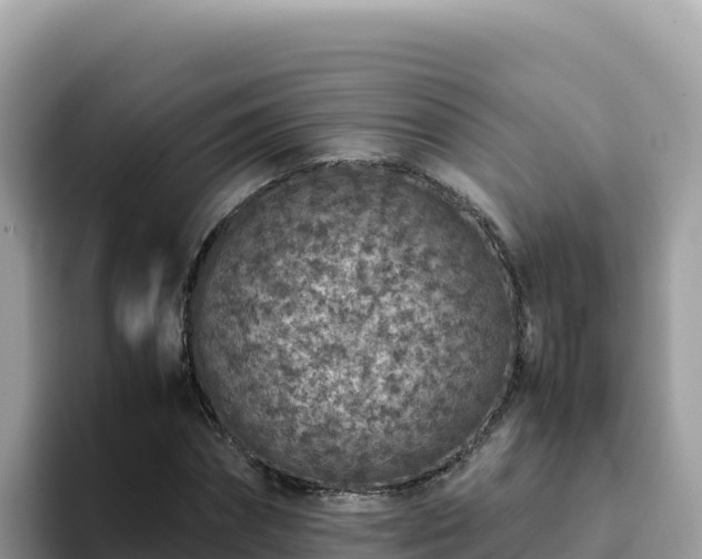 X0000093430874200710191024