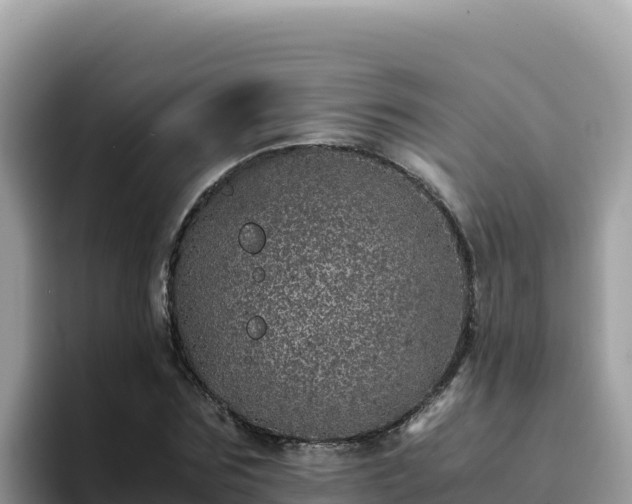 X0000093430875200710191024