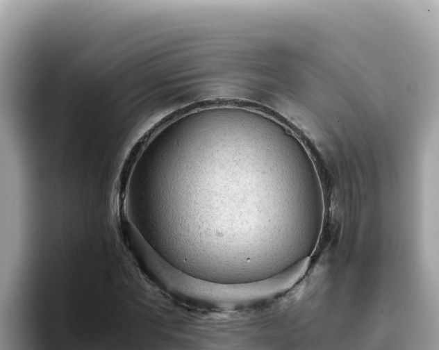 X0000093430877200710191024
