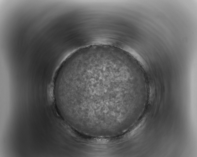 X0000093430878200710191024