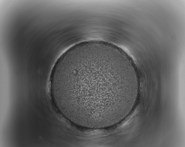 X0000093430879200710191024