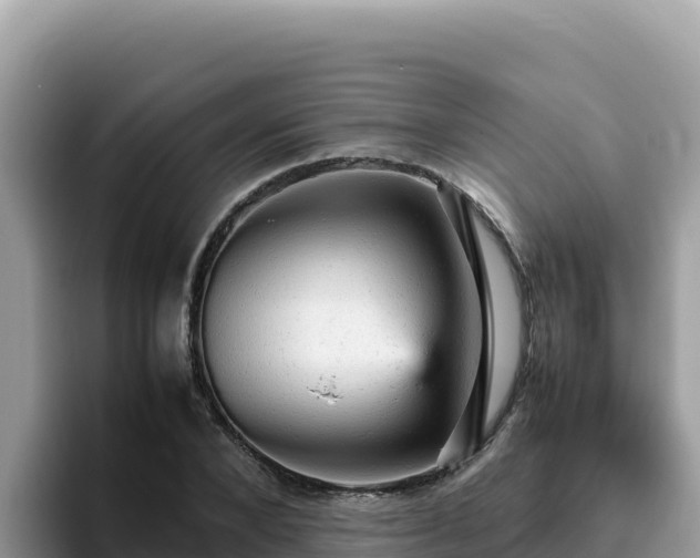 X0000093430880200710191024
