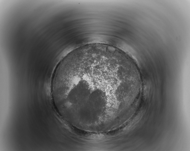 X0000093430882200710191024