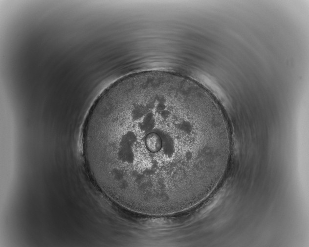 X0000093430883200710191024