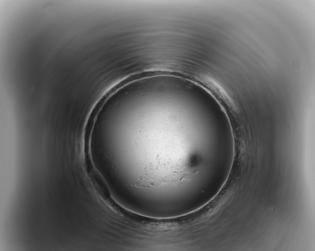 X0000093430884200710191024