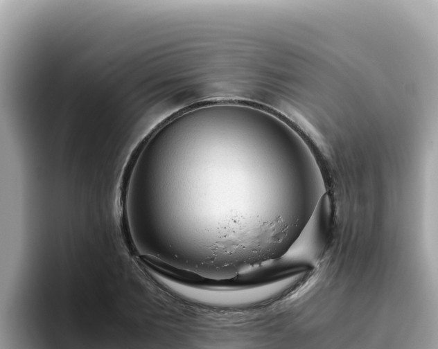 X0000093430885200710191024