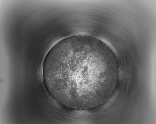 X0000093430886200710191024