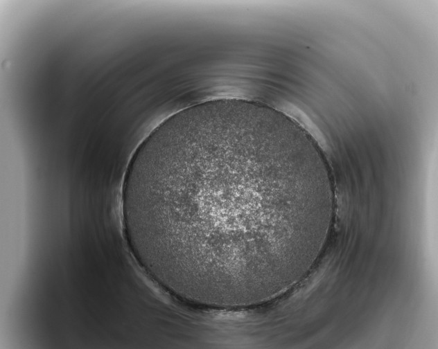 X0000093430890200710191024