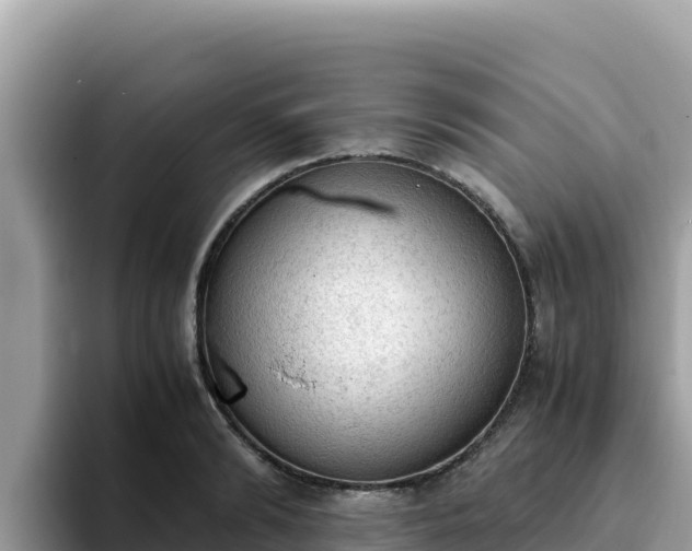 X0000093430894200710191024