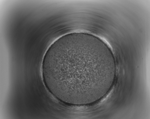 X0000093430895200710191024