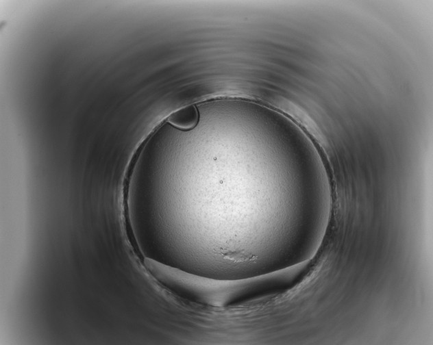 X0000093430898200710191024