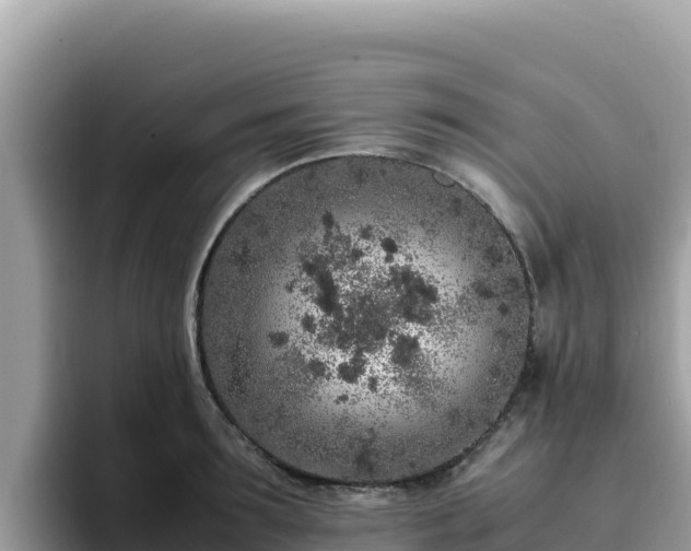 X0000093430899200710191024