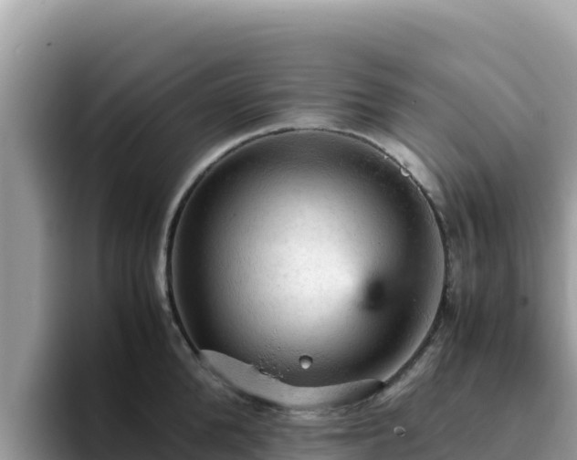 X0000093430904200710191024