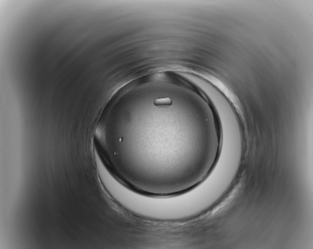 X0000093430905200710191024