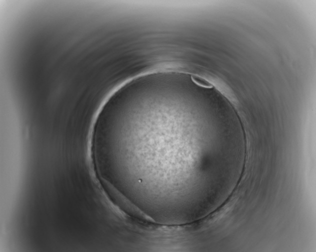 X0000093430912200710191024