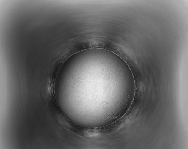X0000093430914200710191023