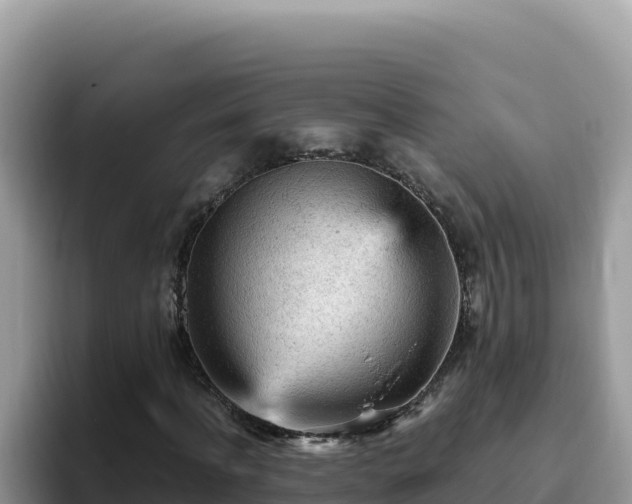 X0000093430916200710191023