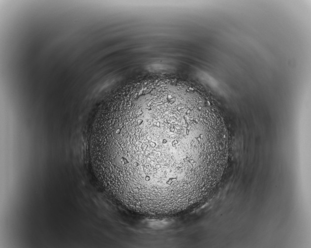 X0000093430917200710191023